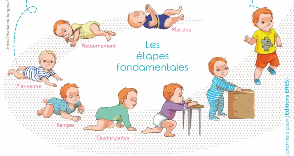 Schéma "De la Naissance aux Premiers Pas - Michèle Forestier"