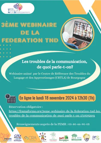 affiche webinaire