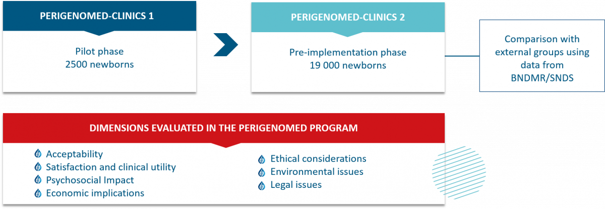 Dimensions evaluated in PERIGENOMED