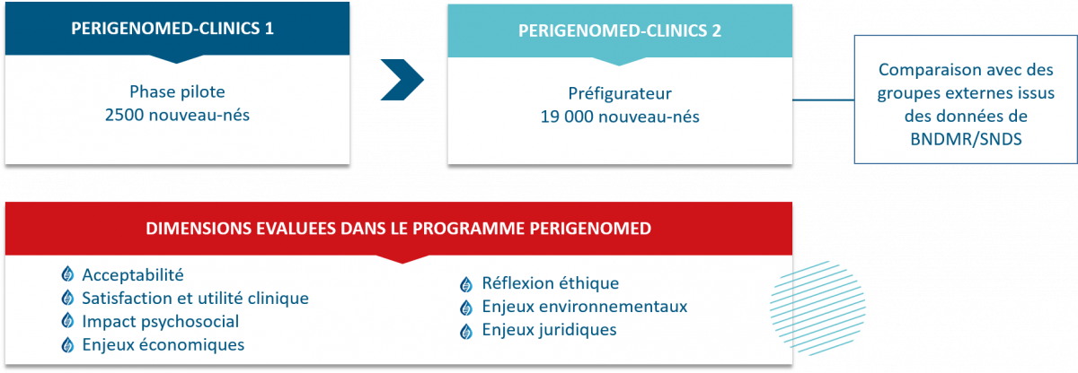 Dimensions évaluées dans PERIGENOMED