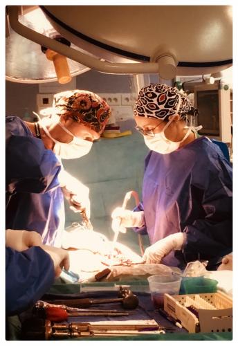 Dr Denis et Dr Metaizeau