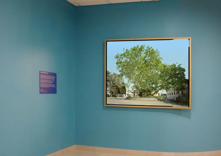 L’arbre d’Hippocrate, 2024