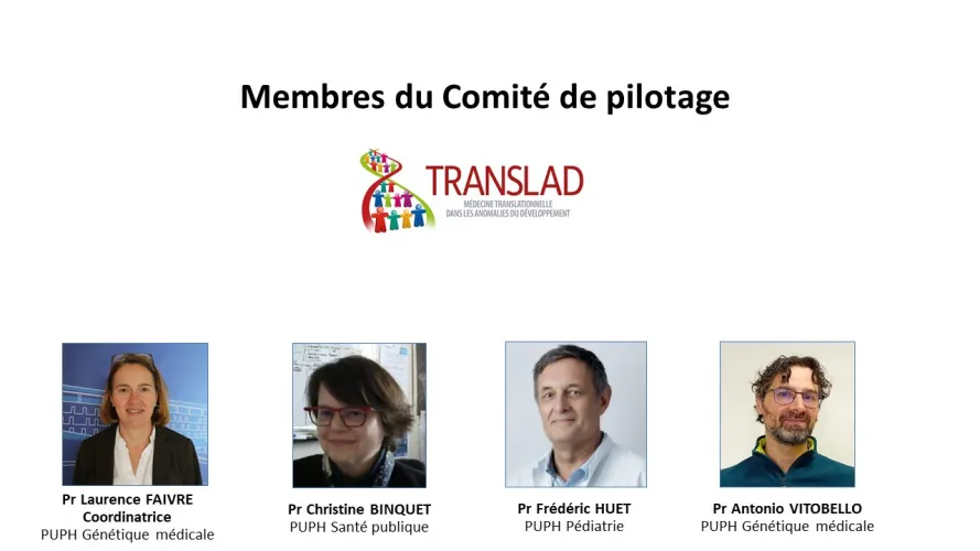 Equipe de coordination