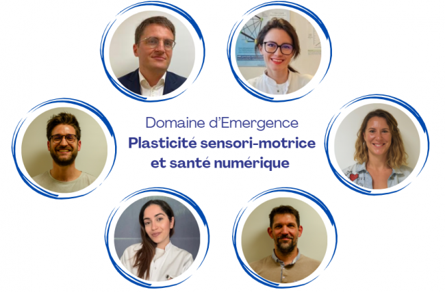responsables domaine d'emergence