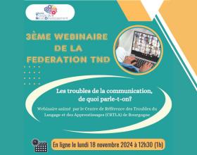 vignette webinaire trouble du langage