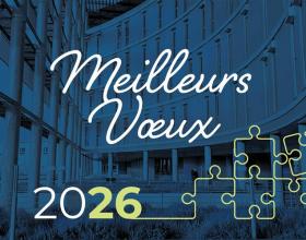 Cérémonie des voeux