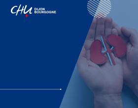 semaine nationale du rein