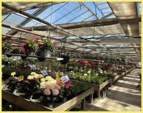 Foire aux plantes