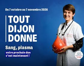 TOUT DIJON DONNE